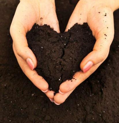 persons hand with black dirt in the shape of a heart