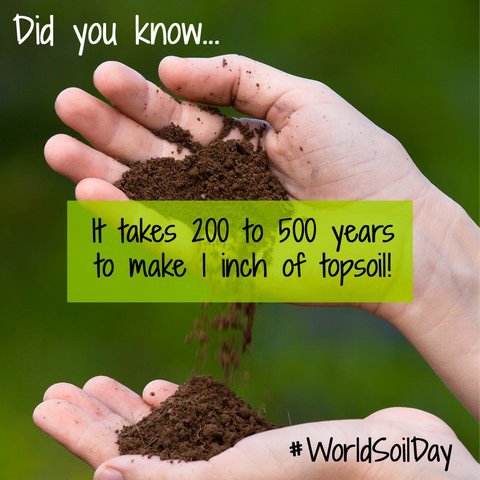 Did you know it takes 200 to 500 years to make 1inch of topsoil? #WorldSoilDay