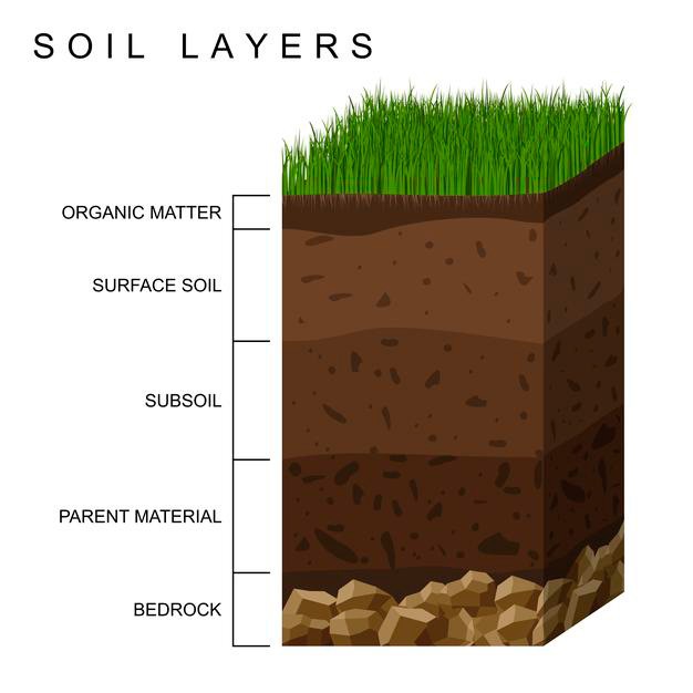 Den fremmede voksen barbermaskine What kind of soil should I use and what's the difference between soil and  dirt? - DC Hauling