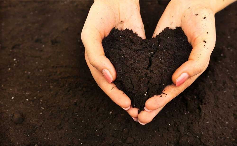hands holding topsoil