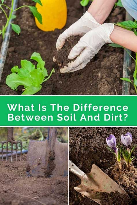 What is the difference between soil and dirt? cover