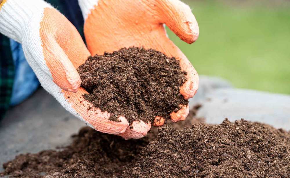 What kind of soil should I use and what's the difference between soil and  dirt? - DC Hauling