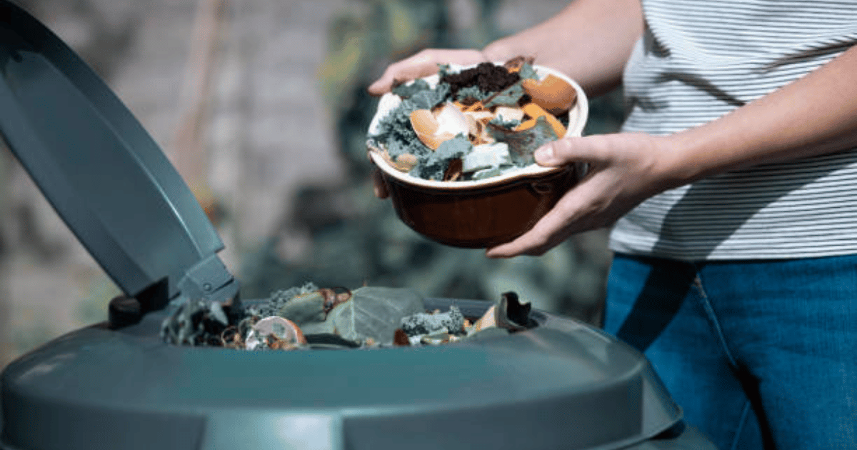 Compost Bins