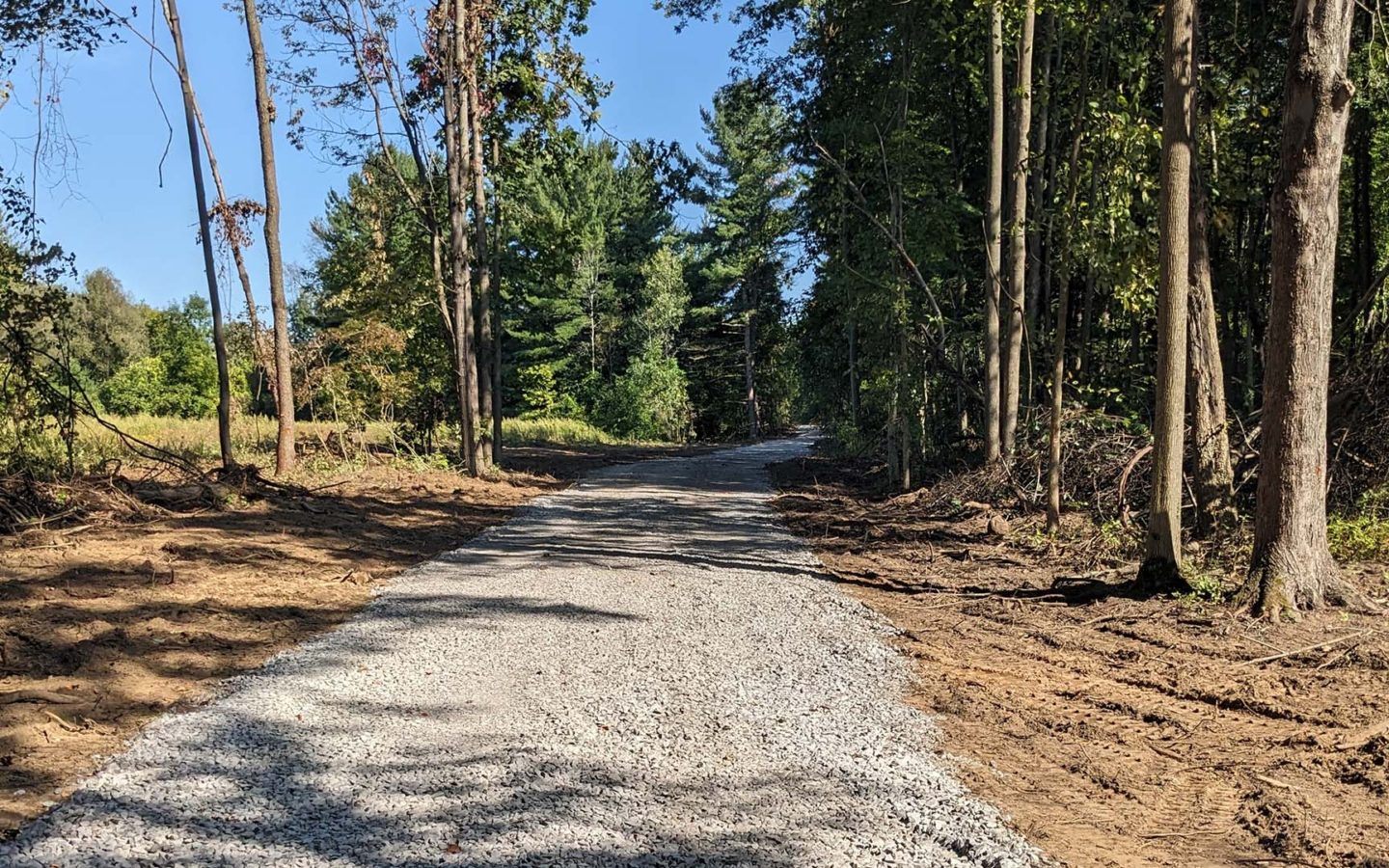 a dirt road in the middle of a forest