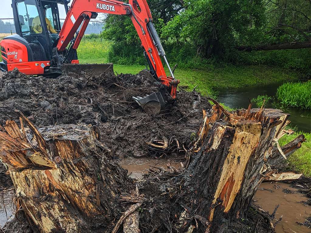 a jcb clearing trees