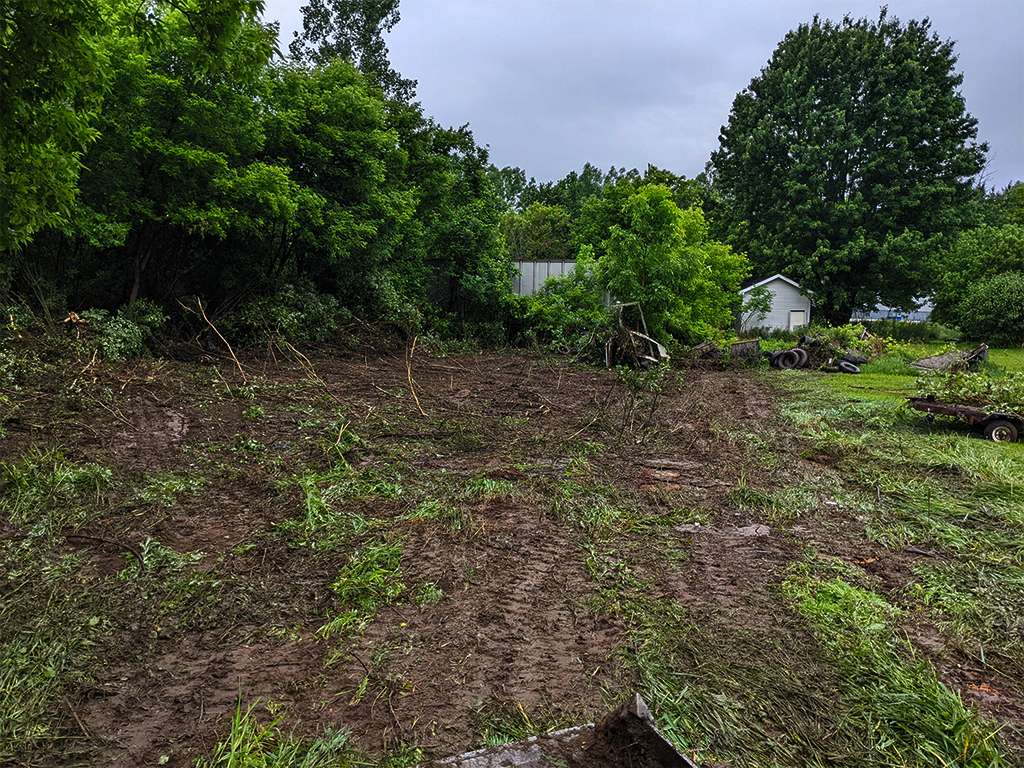 a muddy area that has been cleared of trees