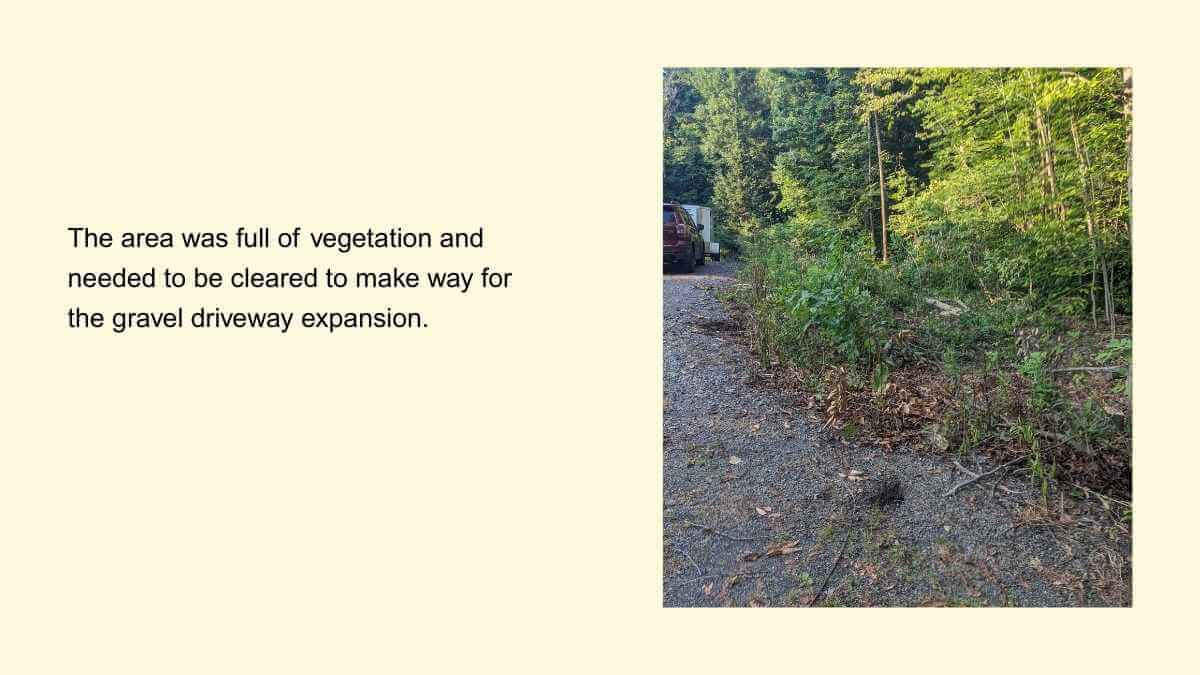 Vegetation-covered area before gravel driveway expansion in Holley, NY