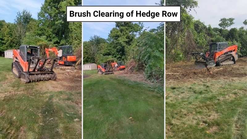 Brush Clearing
