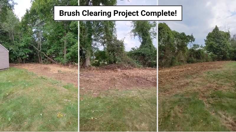 Brush Clearing