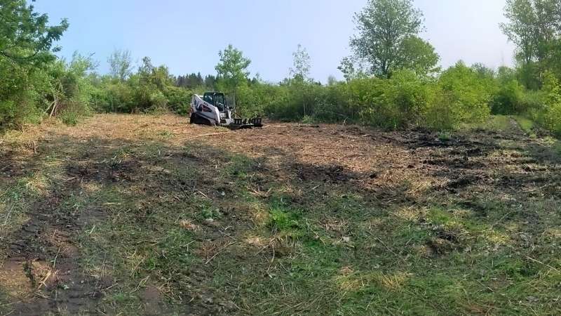 The site after clearing all the thick brush and tall grass
