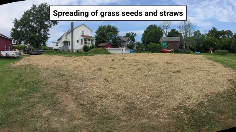 Grass Seeds with Straw on top of topsoil