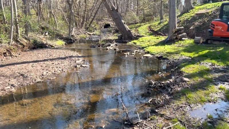 Downstream View of the Creek (Before)