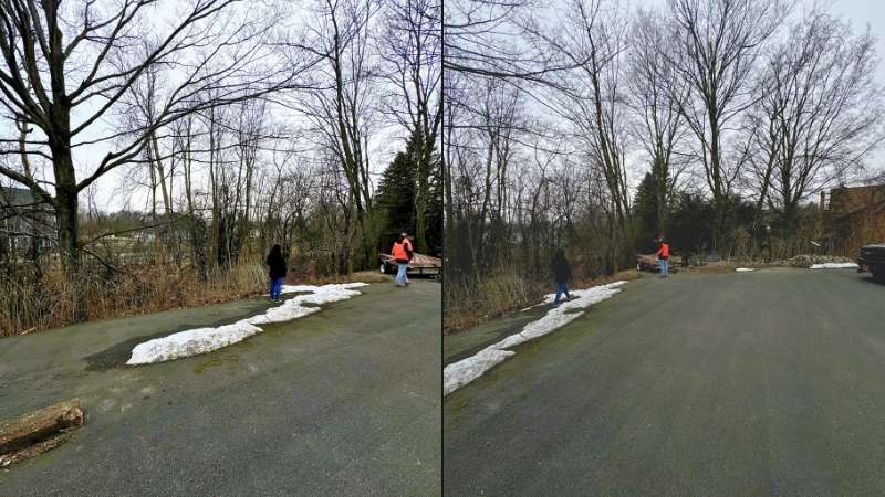 Area behind the house to be cleared for barn and new driveway