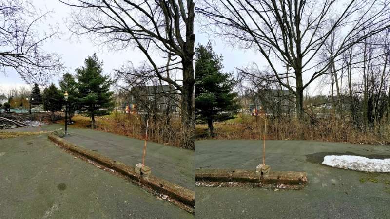 Area behind the house to be cleared for barn and new driveway