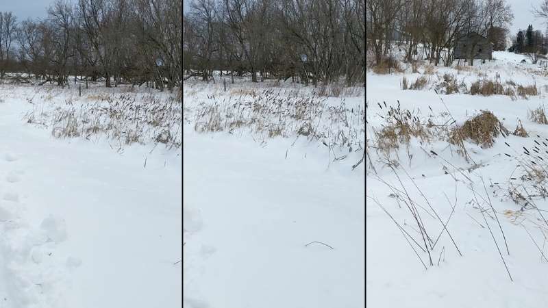 Existing Site Condition