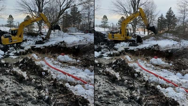 Removal of a tree and its stump for pond widening