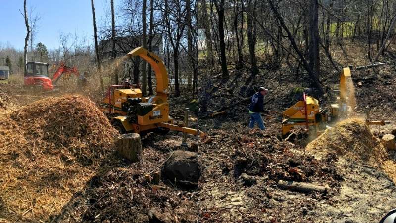 Tree Mulching