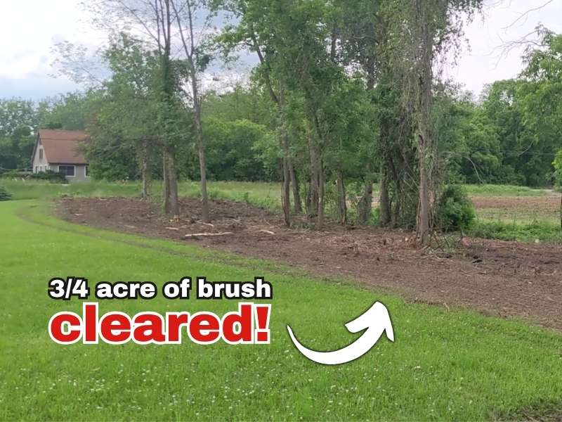 Land Clearing Project in Albion, Orleans County, New York