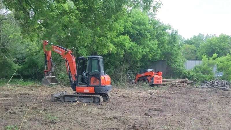 Hedge row brush cleared