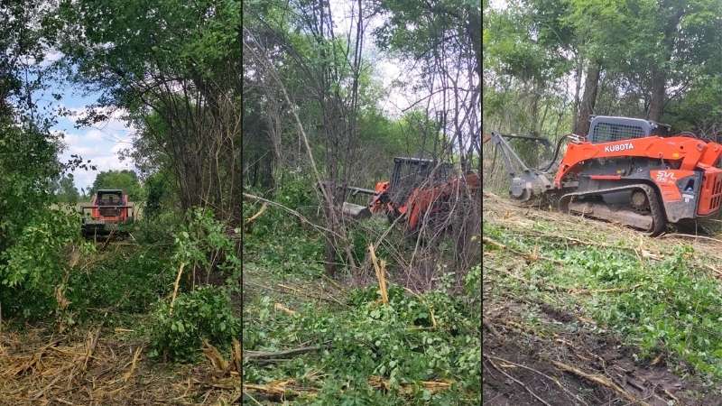 Skid steer with mulching attachment in action
